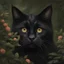 Placeholder: An black may coon cat, 32k resolution, Best Quality, Masterpiece, natural light, insanely detailed, 8k resolution, fantasy art, detailed painting, hyper realism, photorealistic, carguilar, beautiful detailed intricate, insanely detailed, natural skin, soft impressionist perfect composition, award-winning photograph, full body