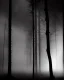 Placeholder: Sad person, greyscale, forest, cloudy, midnight, lightning bolt