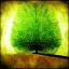 Placeholder: abstract land tree