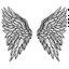 Placeholder: cartoon drawing of angel wings against a white background.