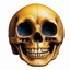 Placeholder: ANATOMICALLY CORRECT digital photograph of the SKULL OF A SMILEY FACE by davinci with fine line,