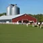 Placeholder: a modern Dairy barn, with concrete dairy siloes, grass in front with a Holstein cow.