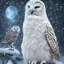 Placeholder: snow OWL RAVEN