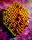 Placeholder: A magenta honeycomb hive with honeybees painted by Paul Cezanne