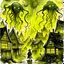 Placeholder: diffused watercolor that looks faded and aged, in distance a barely visible hint of a silhouette of a flying Lovecraftian three headed colossus shrouded in mist whose rough shady profile outline is briefly lit by a flash of lightning, paranoiac, strange thatched-house village in foreground with crude wooden fences, downpouring rain, people huddled under umbrellas, subtle, quiet horror, blue and green color scheme, dark grey negative space