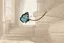 Placeholder: a butterfly trying to pull up a big stone on a staircase with a rope