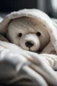 Placeholder: cute white Teddy bear asleep under a blanket