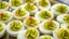 Placeholder: Bright green avocado deviled eggs arranged on a platter, with a sprinkle of paprika on top. The creamy avocado filling contrasts with the white egg, all in vivid, hyper-realistic 8k UHD detail.