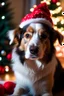 Placeholder: Christmas dog