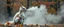 Placeholder: kangaroo dragon with white fluffy whool in autumn, breathing smoke