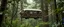 Placeholder: buss shaped like a rat flying through a forest, rat monkeys in the trees