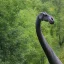 Placeholder: brachiosaurus eating leaves