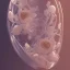 Placeholder: photorealistic glass slipper, a hyerrealistic transparent body, crystal, shells, pastel colours flowers and leaves transparent, professional light, rococo, Artstation, intricate detail realism hdr, intricate detailed 8 k, with ornate jewelled, intricate detailed 4 k