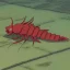 Placeholder:  mr crayfish tail