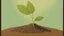 Placeholder: The painting shows a small mint seed buried in the ground. The artist uses brown and light green colors to depict the initial growth of the plant. The seed emerges in the nutrient soil and receives sun and water to grow.