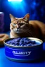 Placeholder: blueberry galaxy cat food