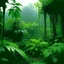 Placeholder: Nebraska 1997 Rain Forest Photo