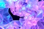 Placeholder: picture of create A hypnotic loop of colored translucent 3D complex structures evolving and morphing, fluid geometry shifting between organic and geometric forms, iridescent glass material with internal glow,instances must have random translucent matrial smooth camera orbit, galaxy background, seamless motion, cinematic lighting, generative art style, 4k.do with geo nodes zoom out to show whole image