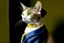 Placeholder: cat with pearl earring, vermeer