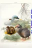 Placeholder: John James Audubon-like illustration of a fully uncropped Dodo bird and a Platypus in a landscape of warm yellows, warm reds, and warm blues