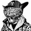 Placeholder: illustration of a rapper cat