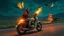Placeholder: The kebab man driving fast on his holy motorcycle, fire from the exhaust, holy widescreen picture, holy empty road on the holy country at night, comic style, no helmet and he have a long holy black beard, neon kebab signs along the road, jesus stand at his market stand selling holy kebabs, simon stålenhag style, flying goose