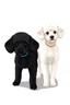 Placeholder: vector two adult toy poodle dogs, "one black with only 3 legs, missing one at the front", and one White vector