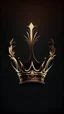 Placeholder: a crown logo