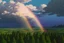 Placeholder: Alberta fields and many double rainbows