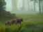 Placeholder: In the jungle the lions have to hide in the long grass, while the elephants have to hide behind trees and bushes. The rats have been hiding under leaves and branches on the ground.