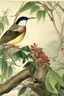 Placeholder: audubon paintings