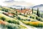 Placeholder: watercolor ,landscape, many colors, detailed, colorize, white background a hills, Tuscan villa on rolling hills, surrounded by green cypress trees and blooming fields. Infuse the scene with sunlight, conveying a cozy and tranquil atmosphere. a white background 9:11