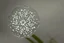 Placeholder: snowflakes, flowers, blur 5%, double exposure, merged layers, silver glitters, in the first part (near to us) of the picture you can see a plain sandblown smoked glass, engraved with a folk art pattern, the glass is cracked in several places, in some places the glass is broken, crumpled burlap, through it you can see a tropical rainforest with a waterfall, mist, tooth, sunrise