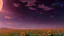 Placeholder: purple sky full of stars, sunflower field, anime, high res, makoto shinkai