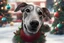 Placeholder: Imagine/ greyhound dog, Christmas ,Hyper-detailed ,8k, by xanuth