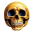 Placeholder: ANATOMICALLY CORRECT digital photograph of the SKULL OF A SMILEY FACE by davinci with fine line,