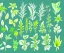 Placeholder: Vector plants and herb set illustration. Watercolor