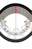 Placeholder: Elliptical theater scheme