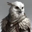 Placeholder: D&D character portrait, male owl human, grey feathers interspersed with white feathers