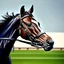 Placeholder: A hyper-realistic image of a racehorse in a race, with close-up photo-realistic hyper details, unique textures, and dynamic movement --ar 4:3 --v 7