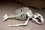 Placeholder: The petrified and crumbling skeleton of a huge creature lying upside down on the ground