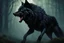 Placeholder: Large black wolf growling lip curled, dark fantasy