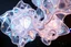 Placeholder: create A picture of 3d complex hypnotic fractal translucent 3D complex structures evolving and morphing, fluid geometry shifting between organic and geometric forms, iridescent glass material with internal glow and pretty bubbles inside,instances must have random translucent material smooth camera orbit, galaxy background, seamless motion, cinematic lighting, generative art style.