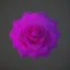 Placeholder: Crystal Rose