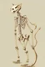 Placeholder: cat-skeleton illustrative drawing