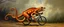 Placeholder: master oil painting by Rembrandt, cat octopus orc fish salamander running marathon with a bike