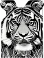 Placeholder: tiger deco beardsley