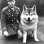 Placeholder: shiba inu sitting on Hitlers lap during ww2 Germany