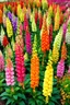Placeholder: The Morphic Field of Snapdragons contains a hyper-realistic garden depicting every possible color and pattern of Snapdragon; a surreal Georgia O'Keefe