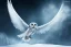 Placeholder: snow winged OWL